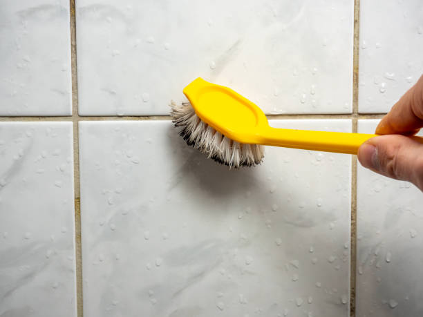 Best Mold Cleaning Services  in Rayville, LA