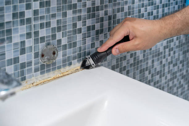 Best Certified Mold Removal  in Rayville, LA