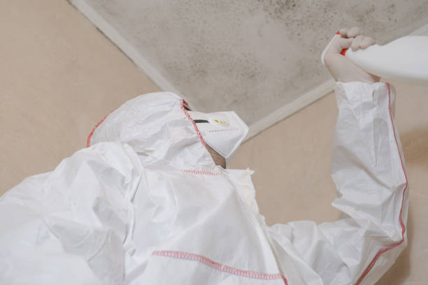 Crawl Space Mold Removal in Rayville, LA